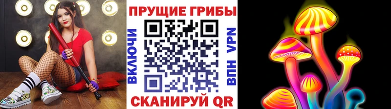 где найти   Барабинск  Псилоцибиновые грибы Magic Shrooms 